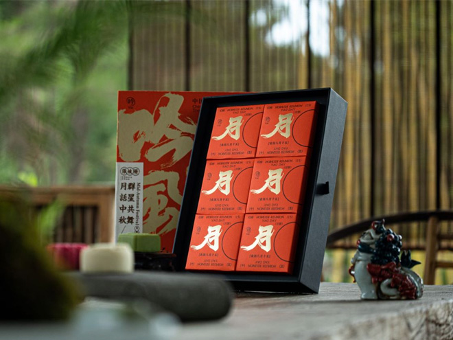 揽月吟风1.jpg
